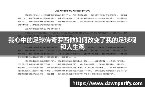 我心中的足球传奇罗西他如何改变了我的足球观和人生观